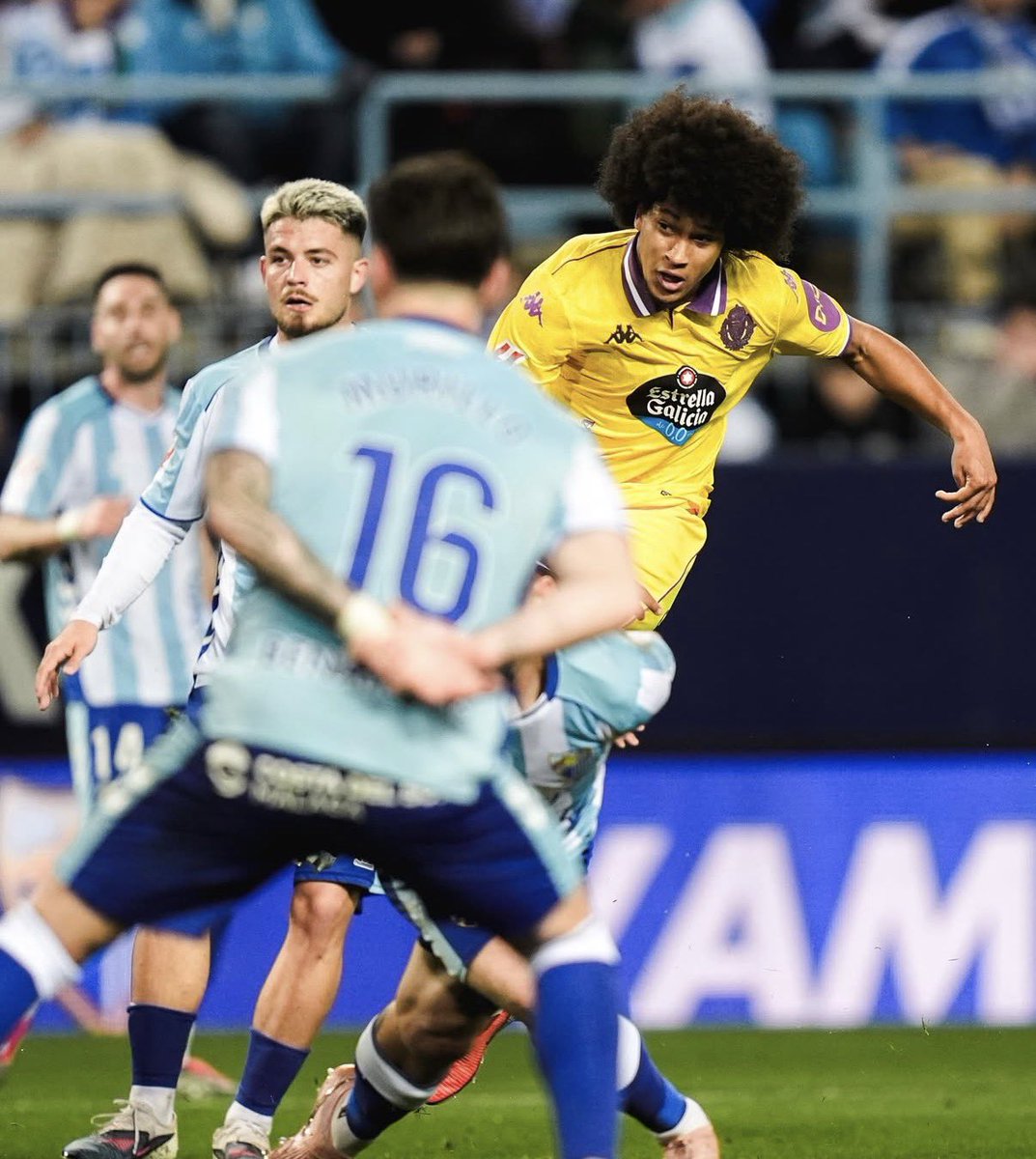 Peter González tweet media