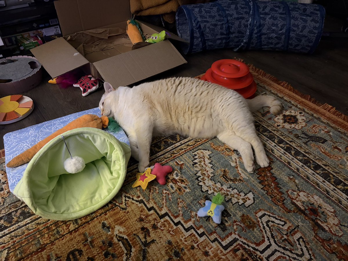 grim & juno ☯︎ tweet media