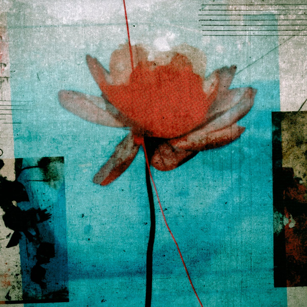 “burning out”
 mixed media collage by nikki marie stagner 2026