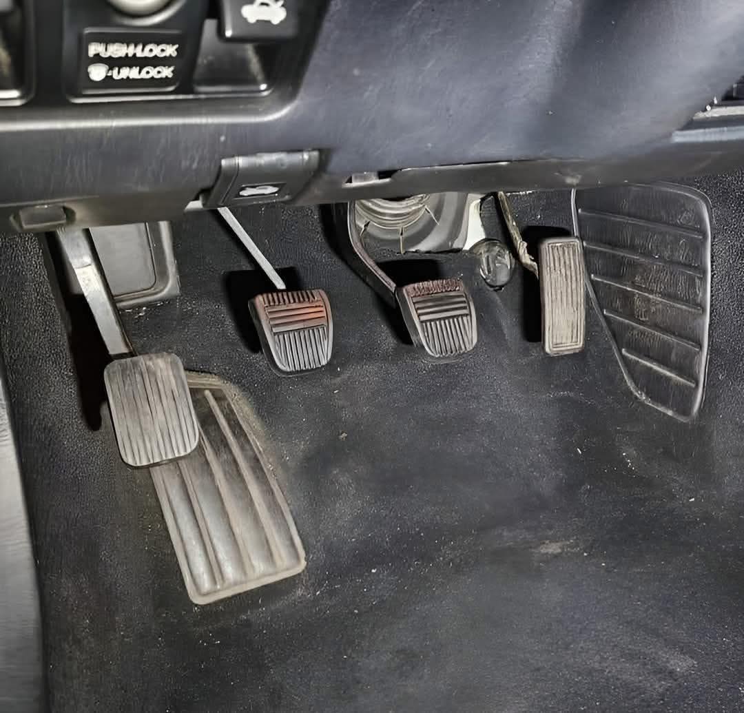 Liberta Cherguia 🇪🇺 tweet media