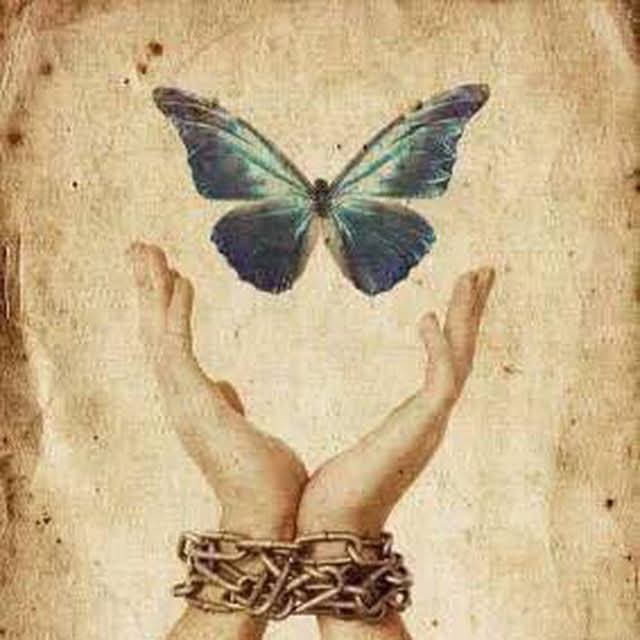 𝒩𝒪𝒪𝒪ℛ tweet media