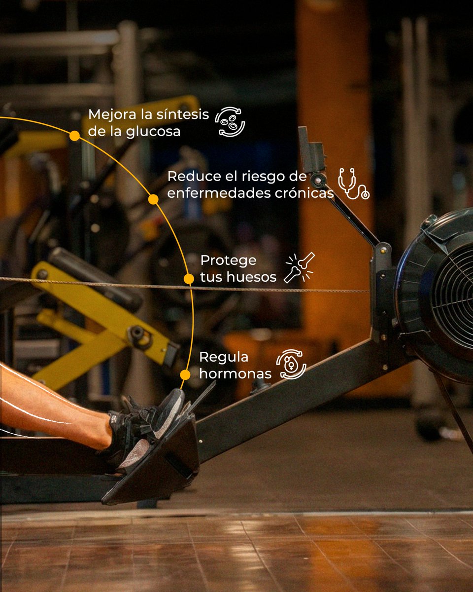 Smart Fit México tweet media