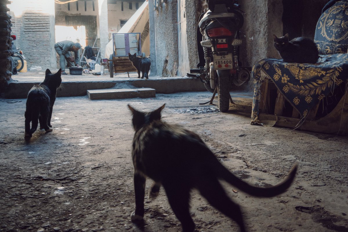 Billy Dinh tweet media