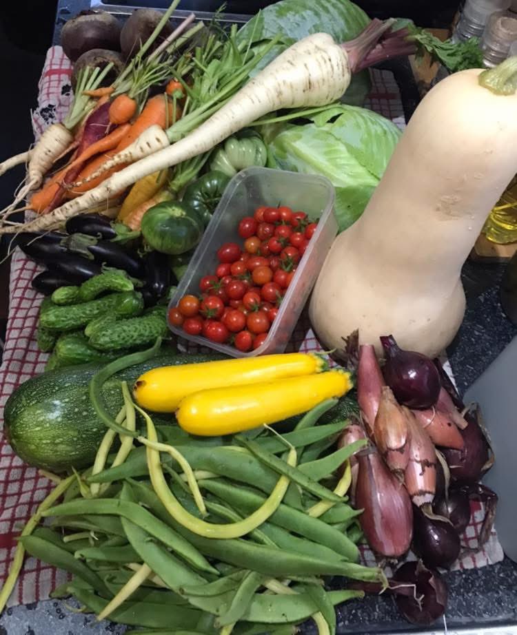 fat girl walking tweet media