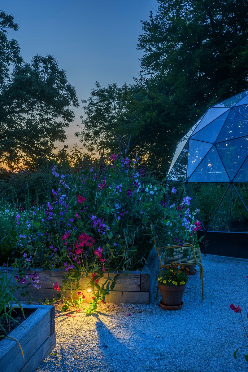 Moonlight Design tweet media