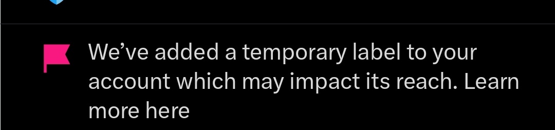 Random Person tweet media