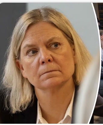 Theo Svensk tweet media