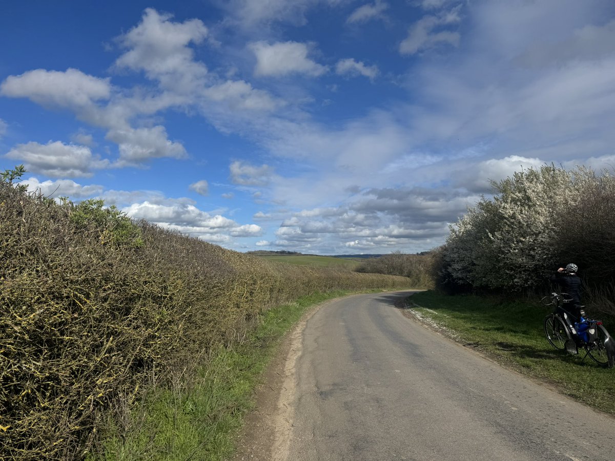 Ben Lisle tweet media