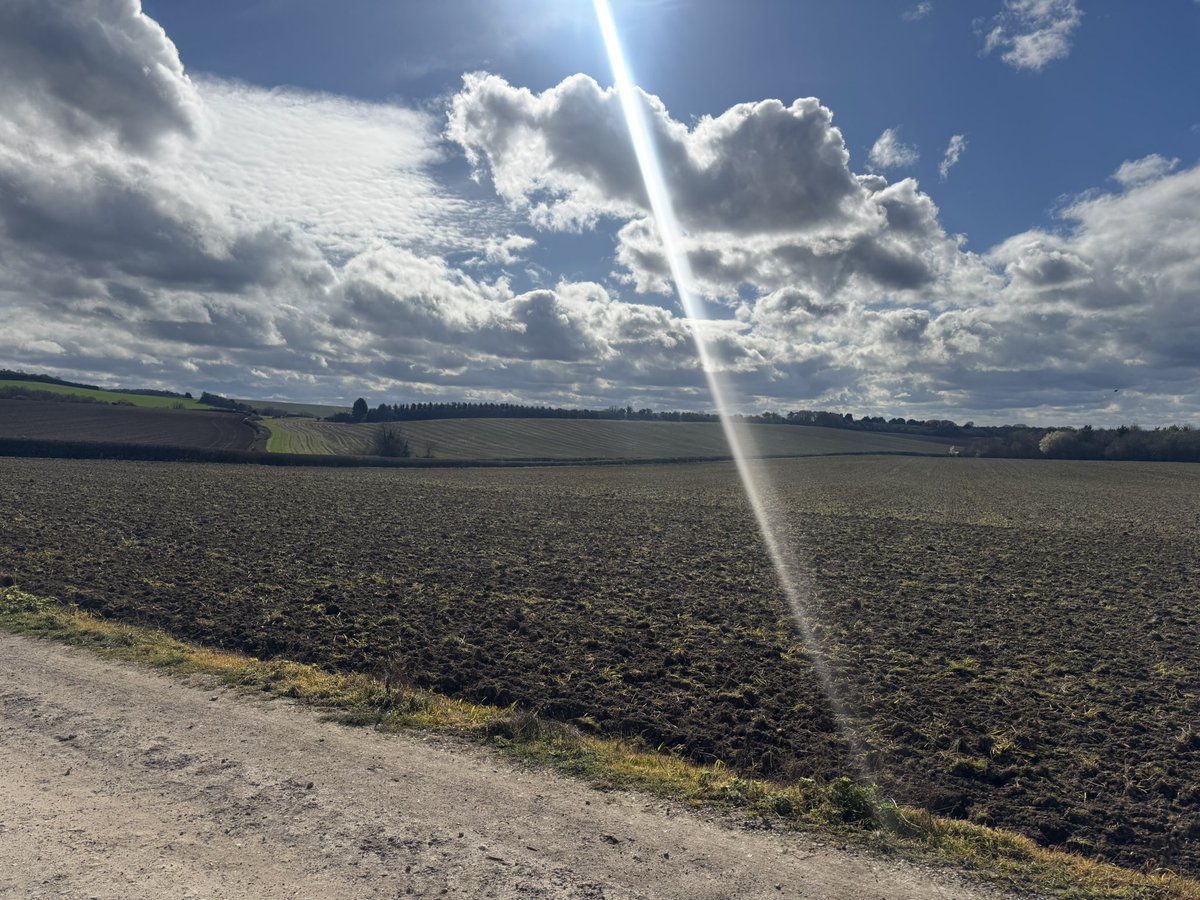 Ben Lisle tweet media