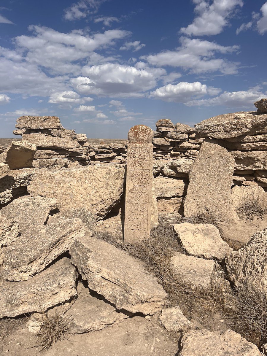 Uzbekistan Tourism Ambassador tweet media