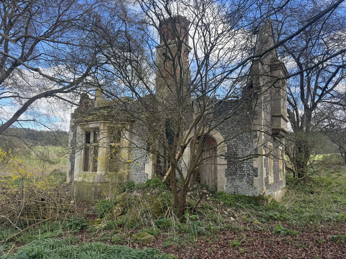 Ben Lisle tweet media