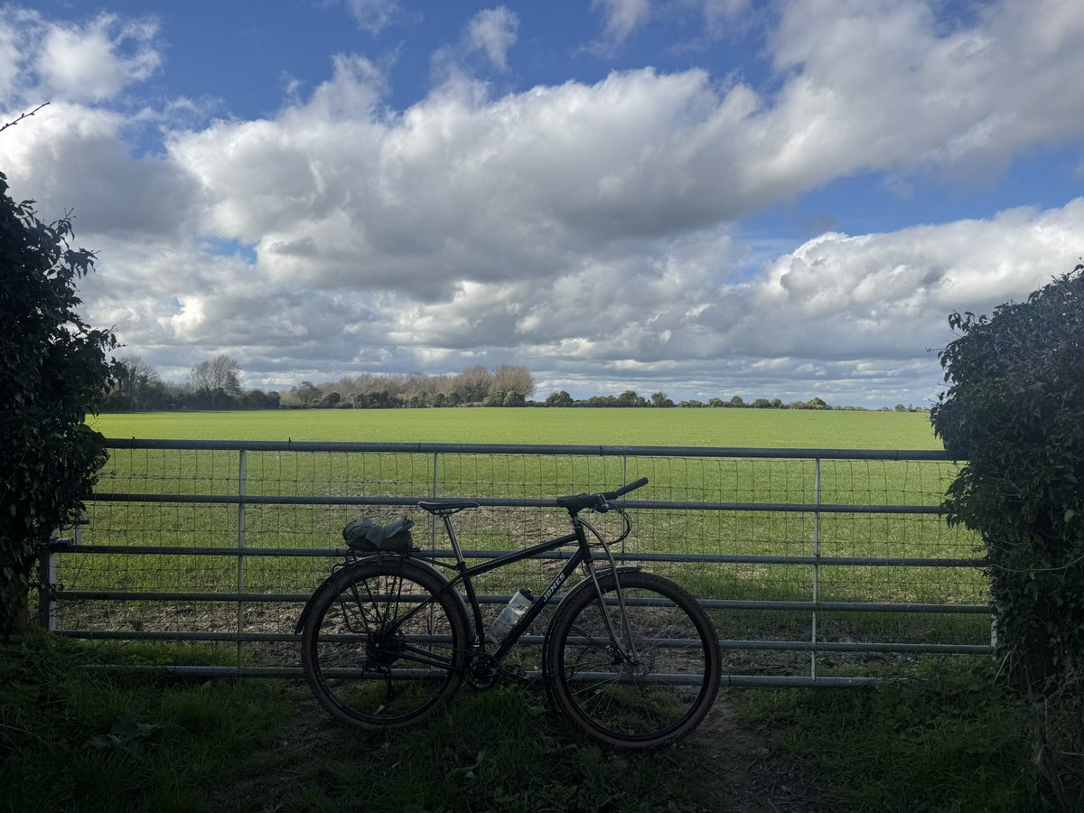 Ben Lisle tweet media