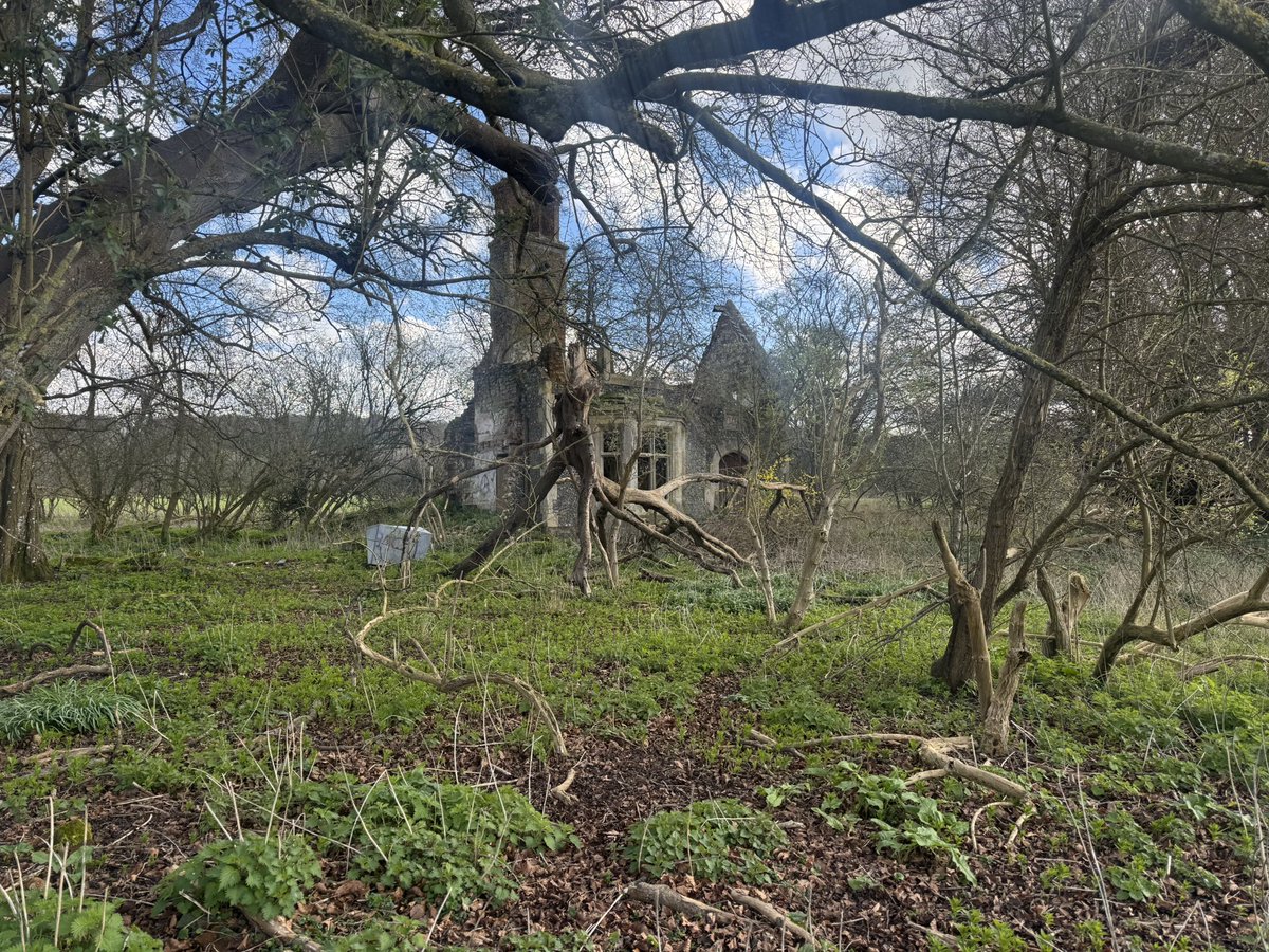 Ben Lisle tweet media