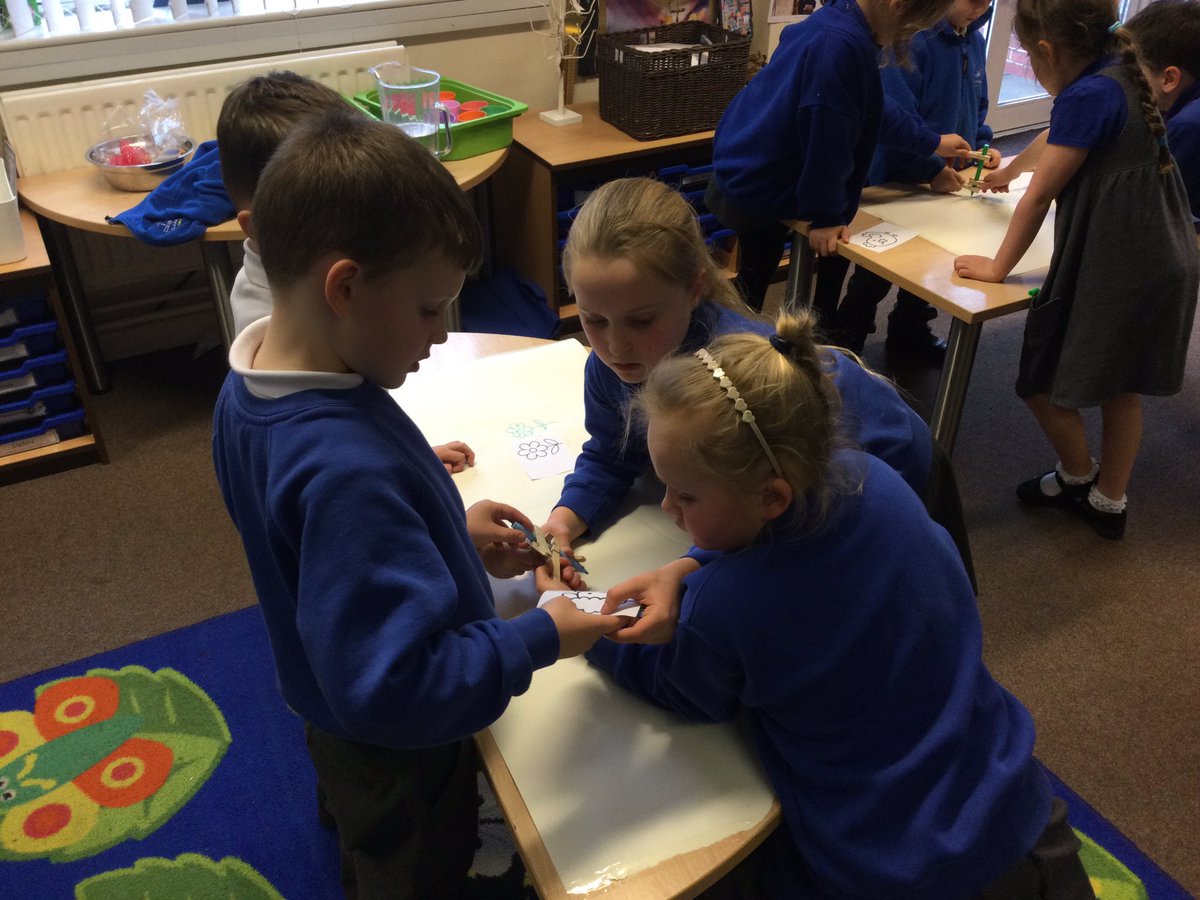 WhitegateRowan tweet media