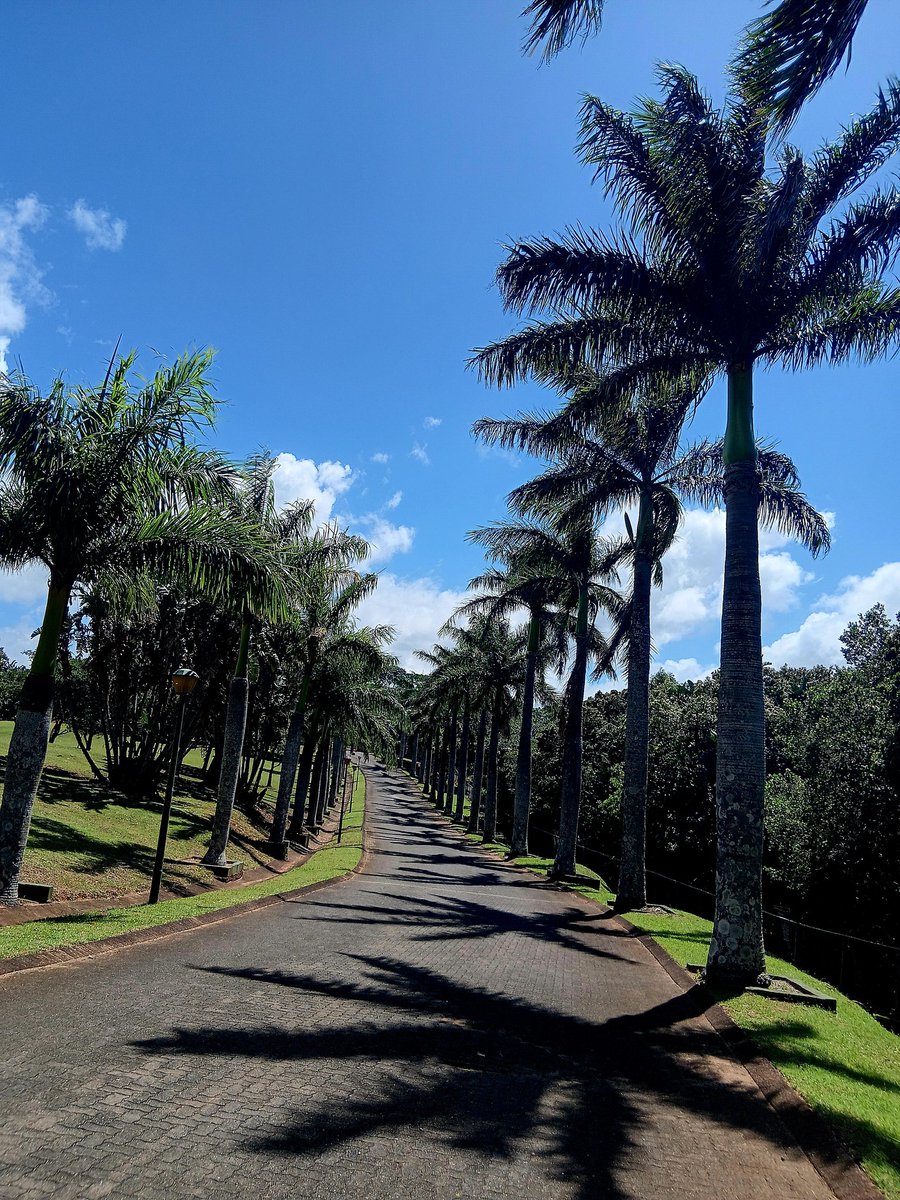 Martie Bothma tweet media