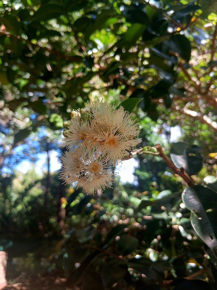 Martie Bothma tweet media