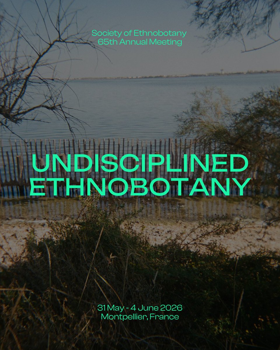 Society for Ethnobotany tweet media