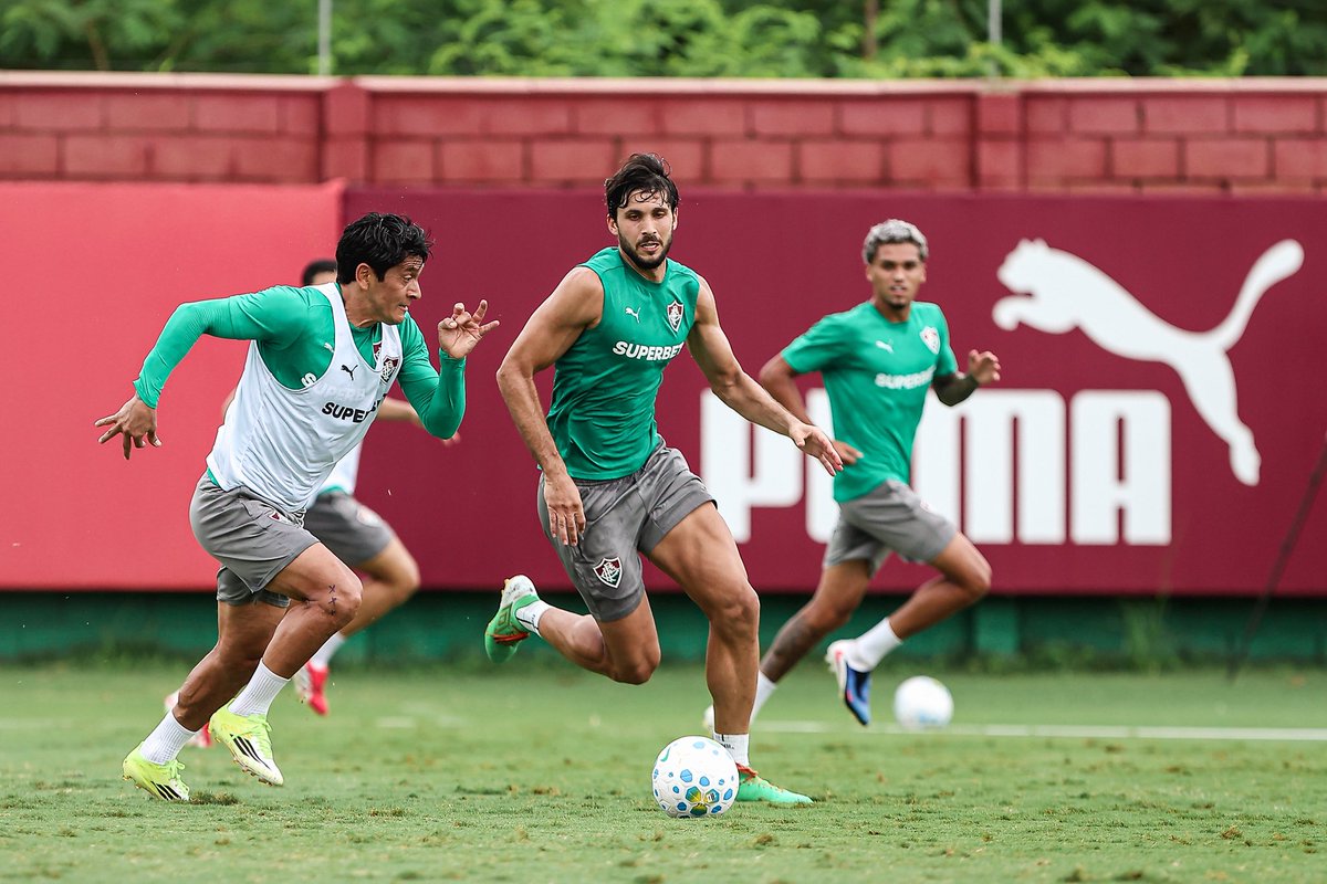 FluResenha tweet media