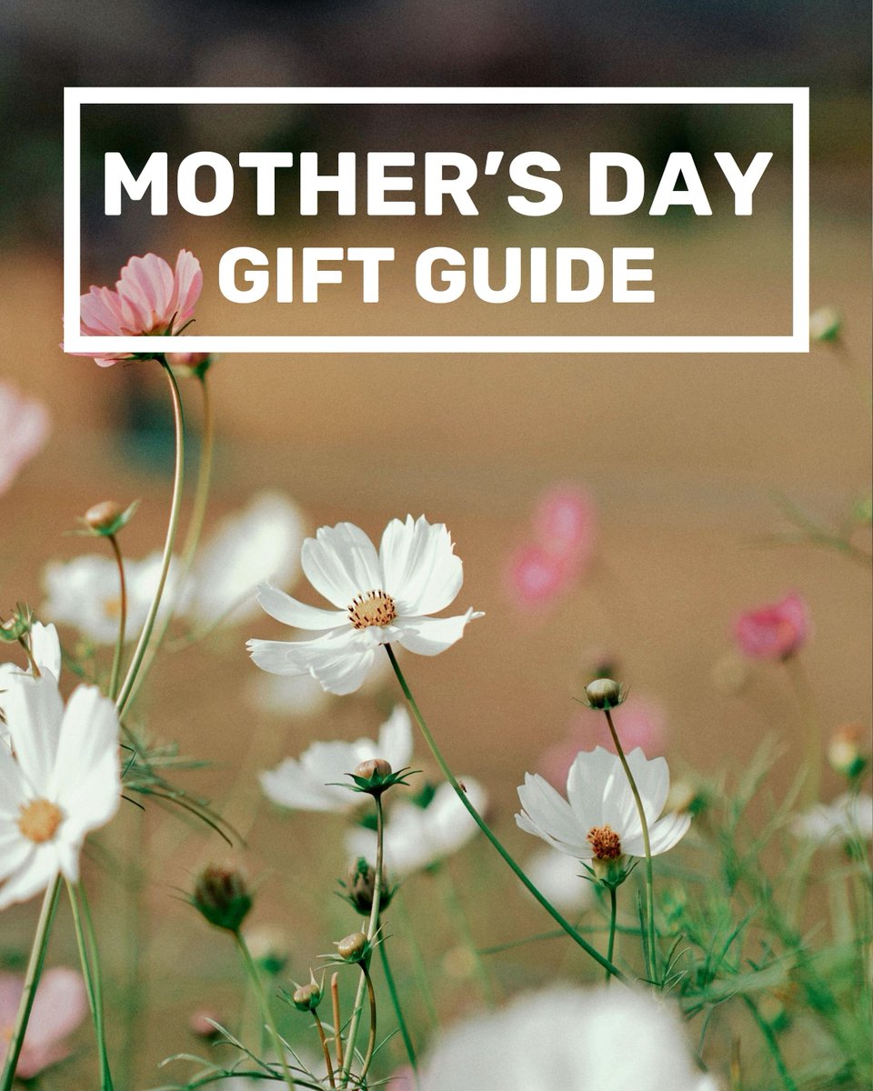 The Reader tweet media