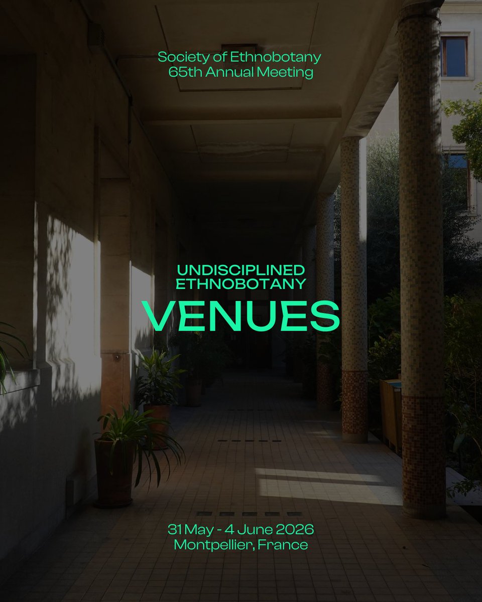 Society for Ethnobotany tweet media