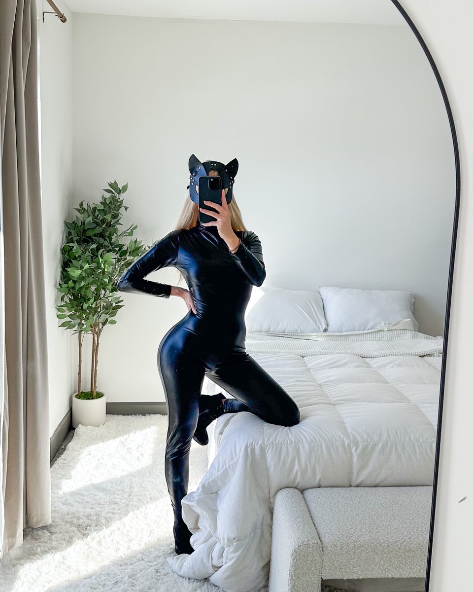 MissHadleyFox's tweet image. I wore this cat cosplay for a 🎥 what do you think happens?
