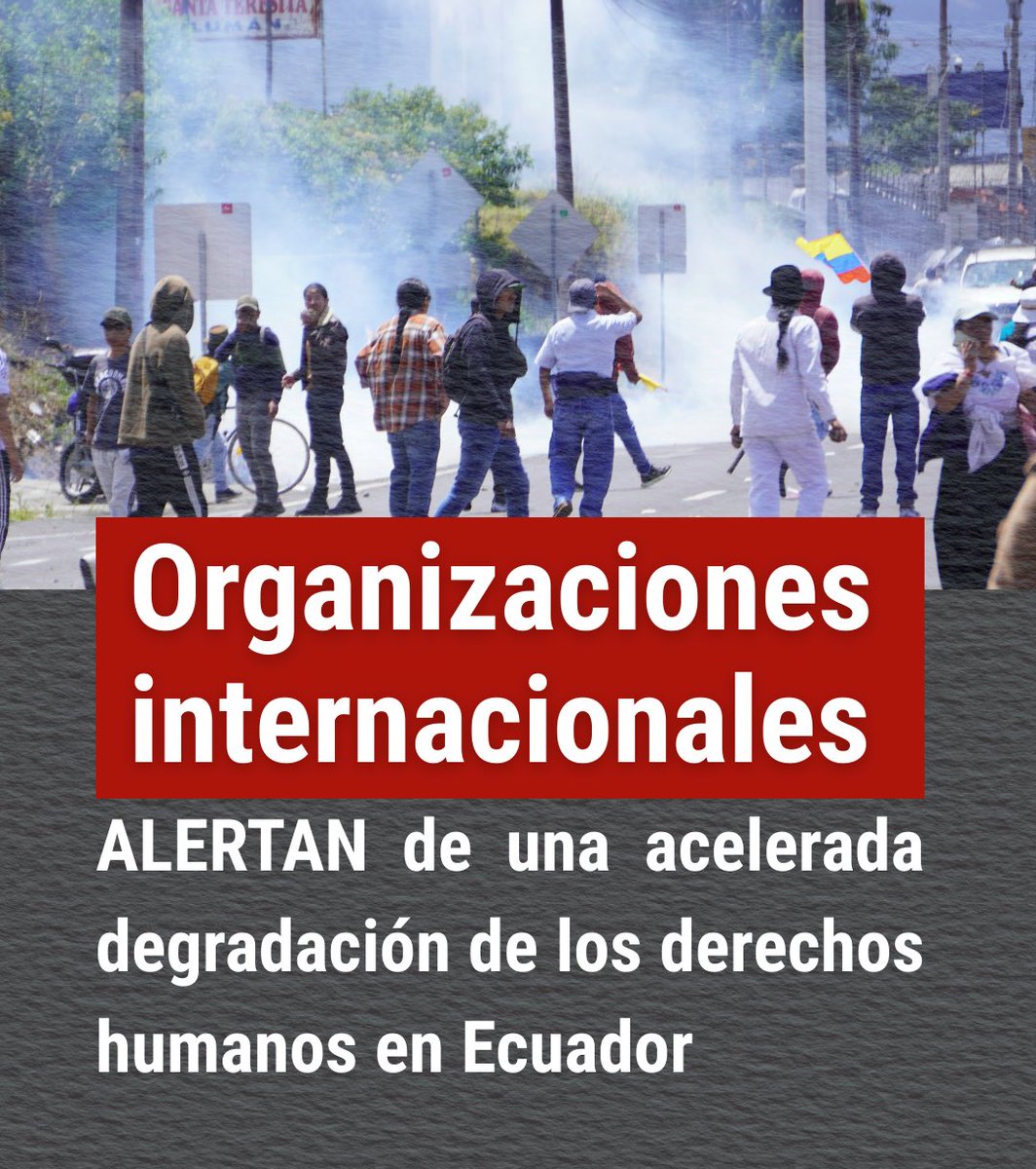 Alianza de Organizaciones por los Derechos Humanos tweet media
