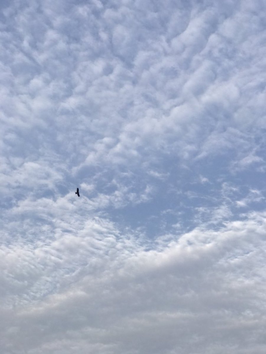 ✋🍀 ηỮ𝔫𝕦 ♛💚 tweet media