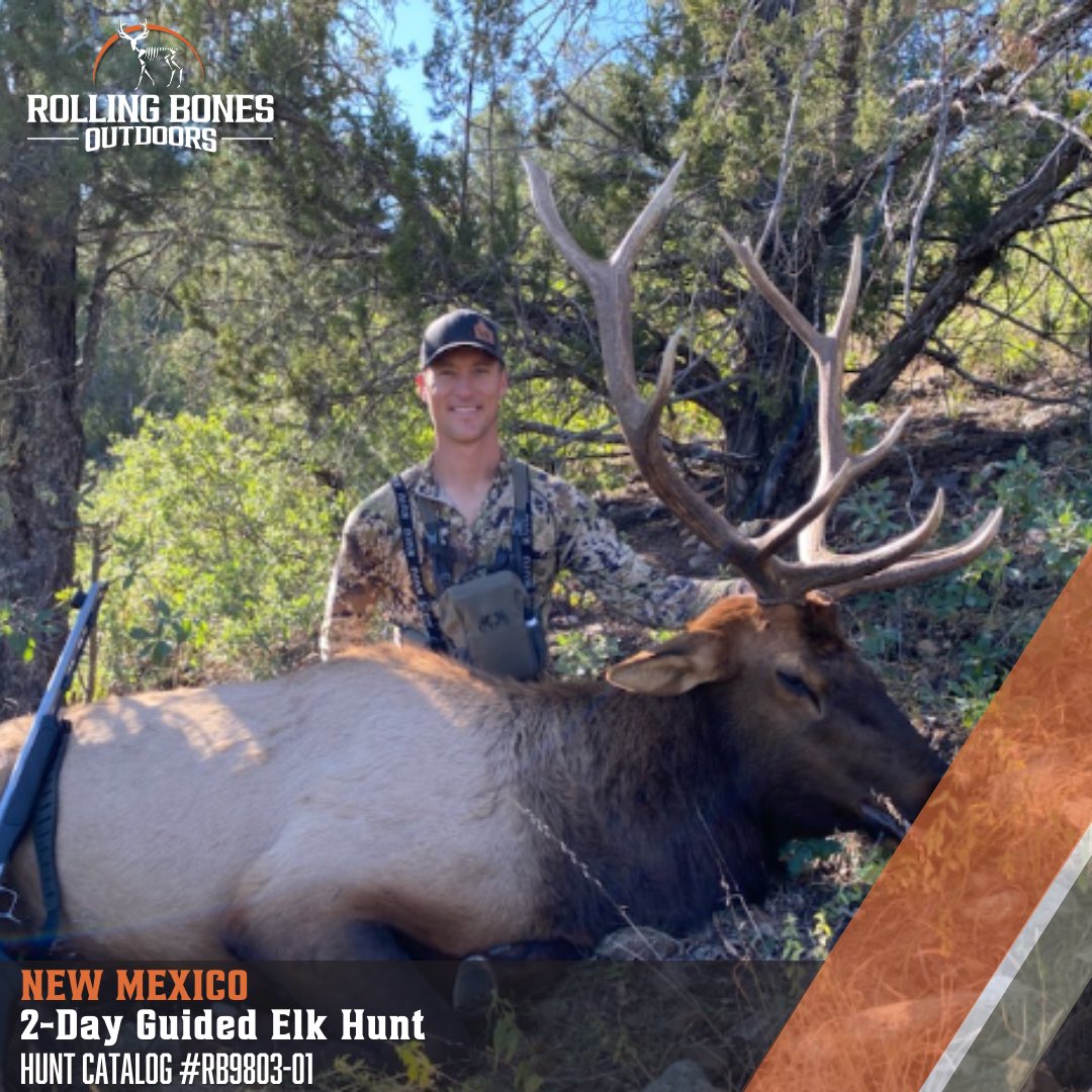 Mike Smith tweet media