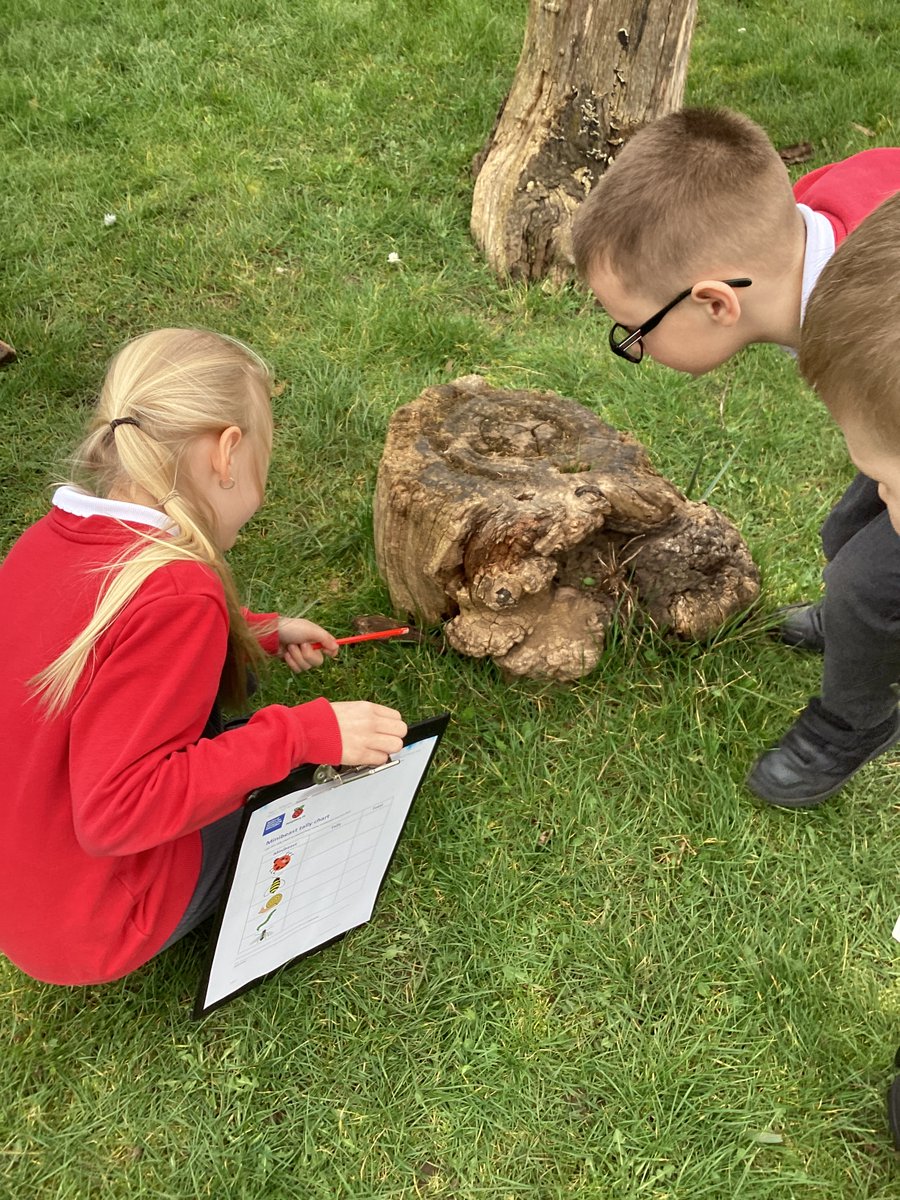 TISElmClass's tweet photo. Today in computing Elm Class went on a minibeast hunt! We recorded our data in a tally chart and then used the computers to turn the tally chart into a pictogram. 🐞🦟 https://t.co/ttqc5uV9Ui
