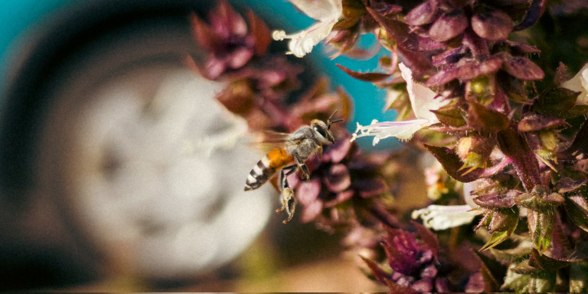 _DeLynx's tweet photo. My experiment to Galaxy s26 Ultra 1x 1.4f 24mp raw https://t.co/X4ka4l19It