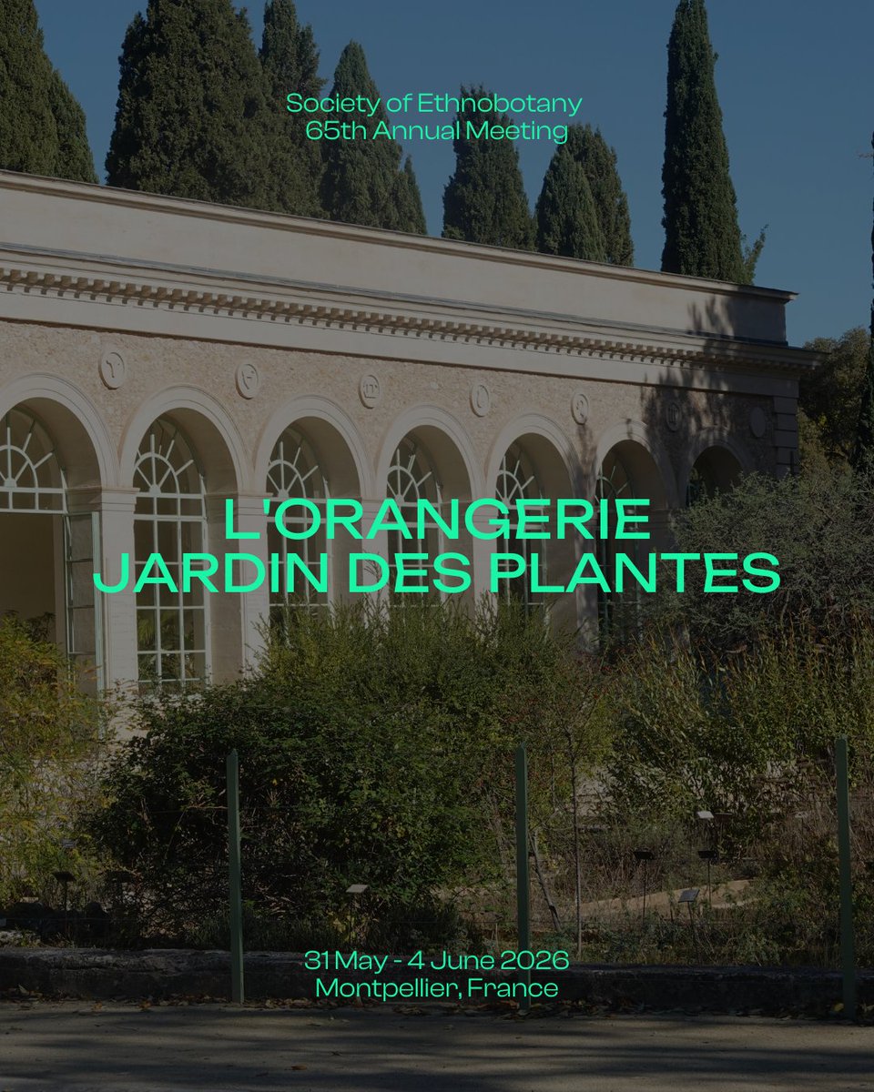 Society for Ethnobotany tweet media