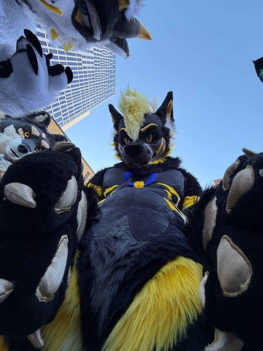 lytelyonheart's tweet photo. 6’7” btw. DM me if you want uppies, puppy~ https://t.co/2lkRuqdP9W