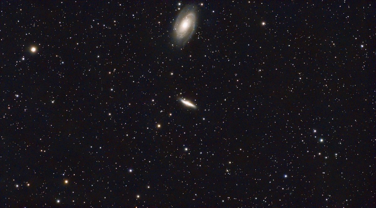 はなぶさりさ tweet media