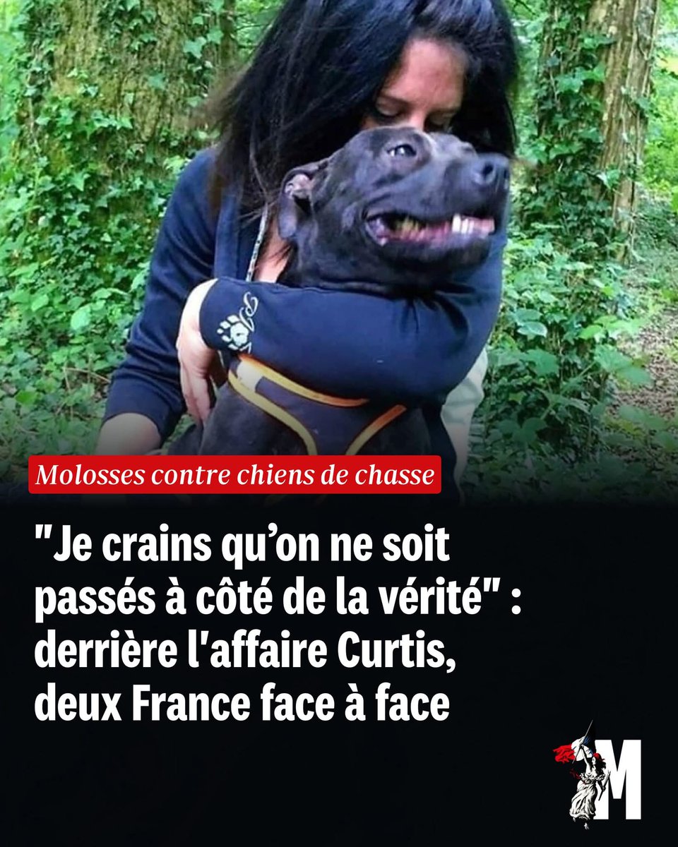 Gérard L tweet media