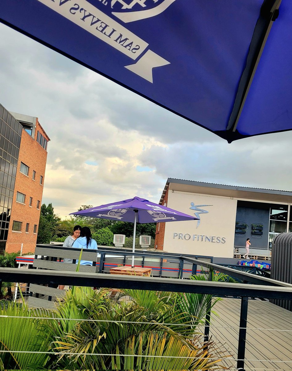 Experience Zimbabwe tweet media