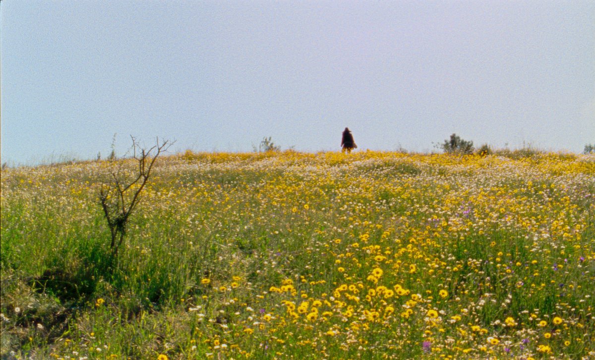 DUPLEX Cinema tweet media