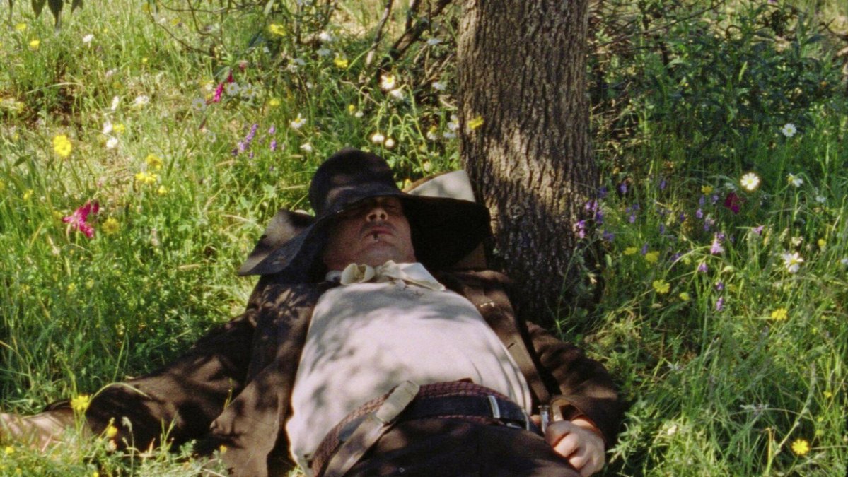 DUPLEX Cinema tweet media