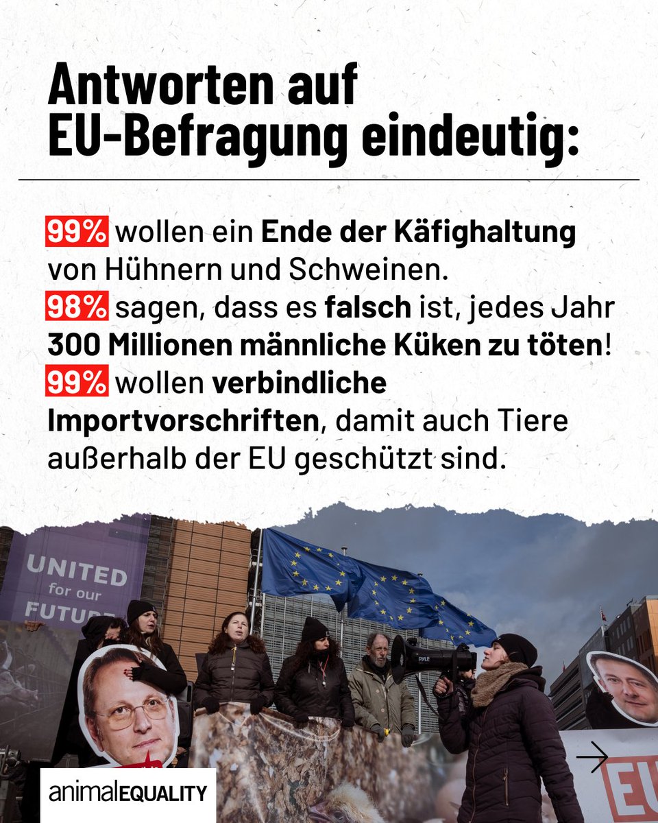 99 % der EU-Bürger*innen sagen: Käfighaltung stoppen! 🚫🐖

Die Ergebnisse der öffentlichen EU-Befragung zum Tierschutz sind eindeutig: 190.063 Menschen aus 159 Ländern haben eine klare Botschaft an die Politik gesendet.

Das sagen die Zahlen:

❌ 99 % fordern das Ende der