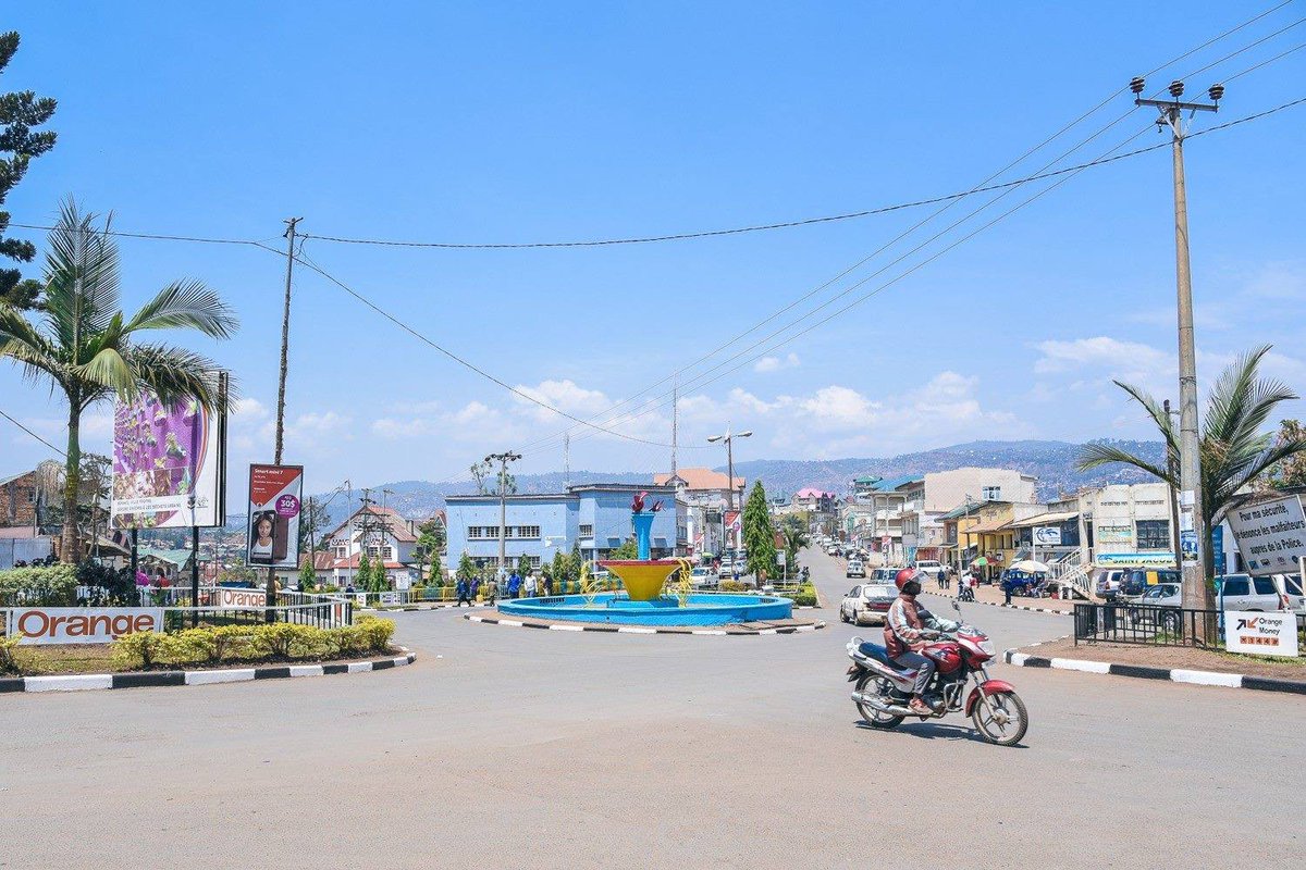 Don Bach tweet media