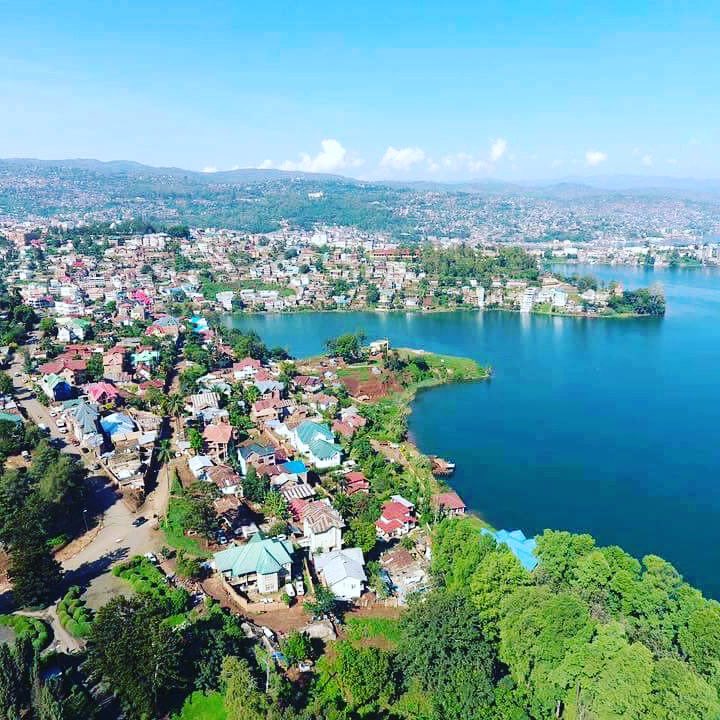 Don Bach tweet media