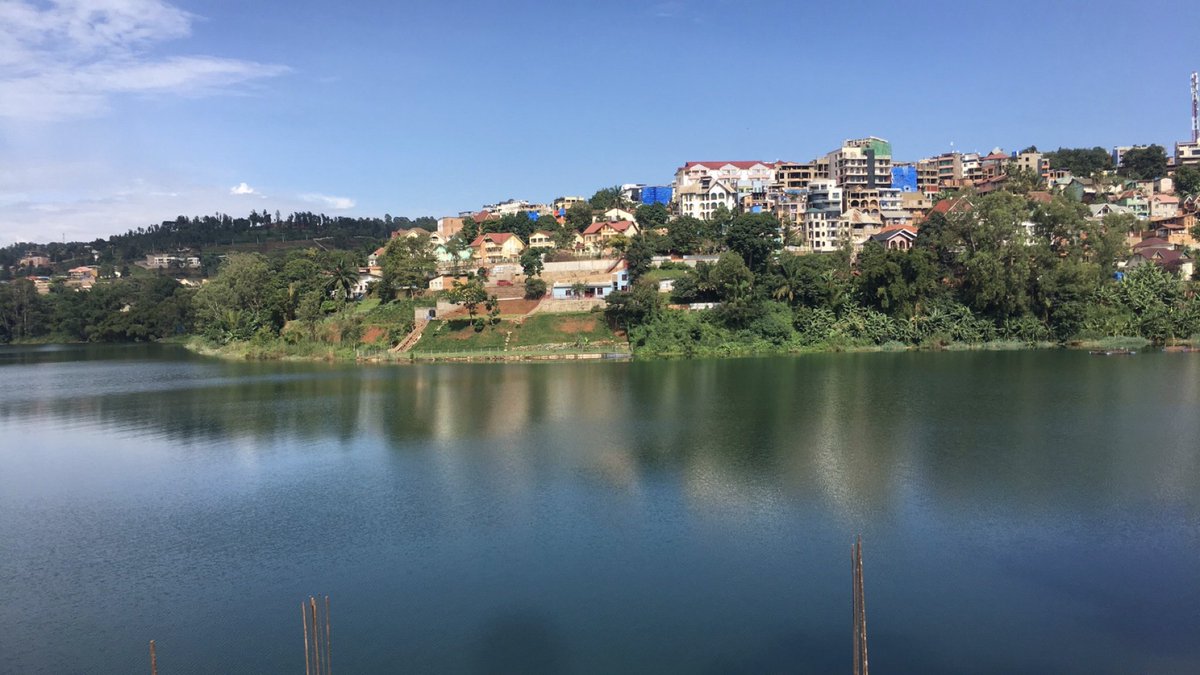 Don Bach tweet media