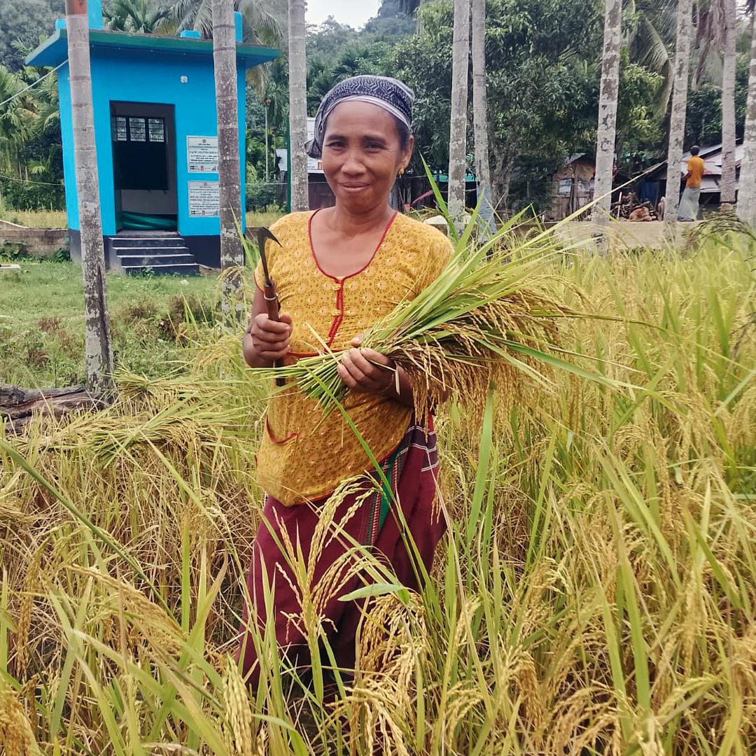 UN Capital Development Fund tweet media