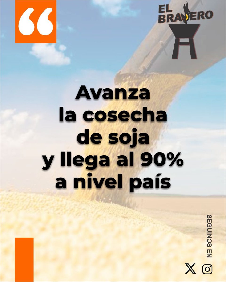 ElBraseroPy tweet media