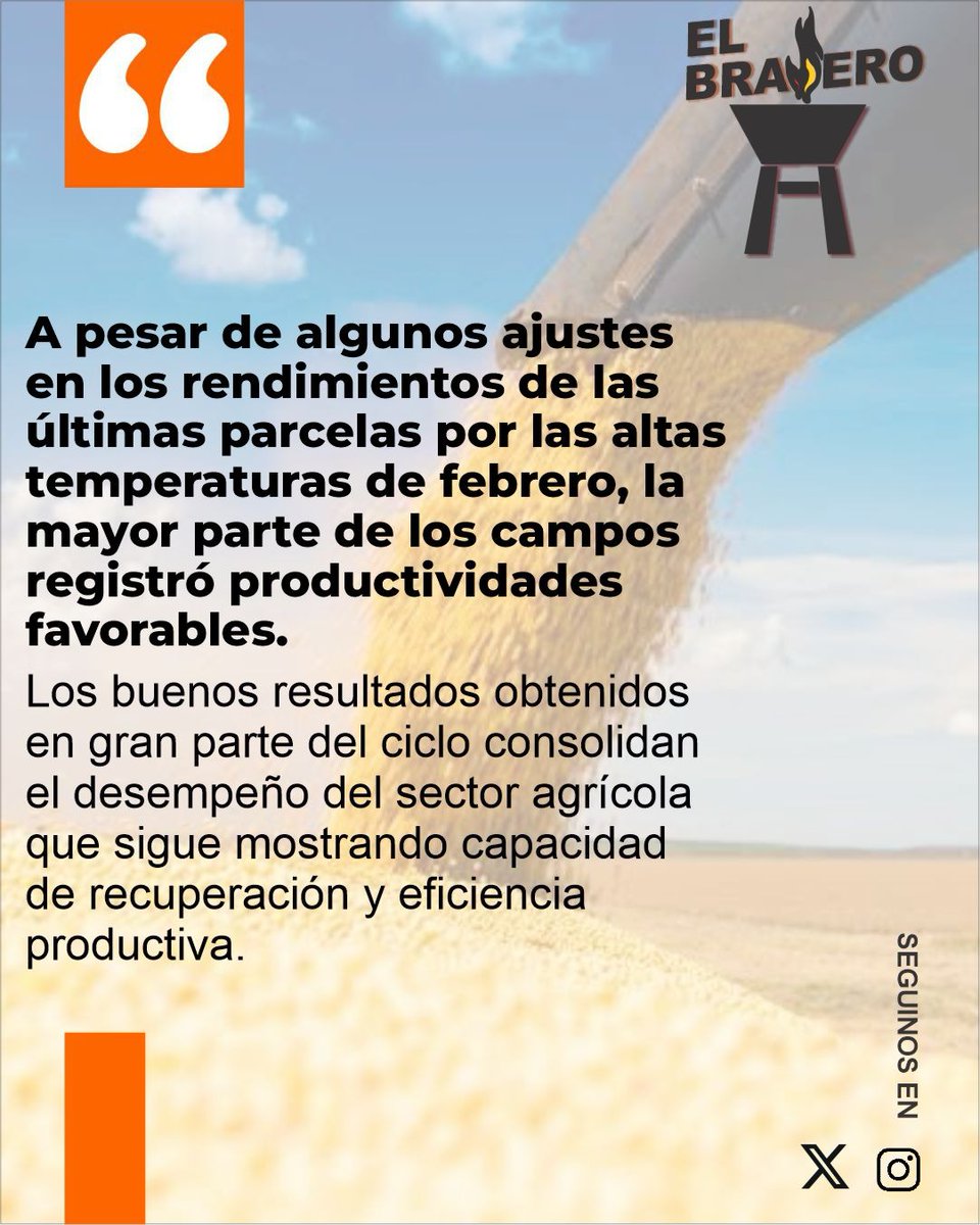 ElBraseroPy tweet media