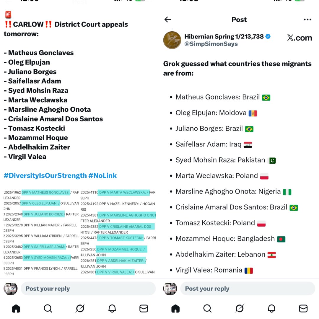 duzBme's tweet photo. Ireland 🇮🇪 County Carlow court appeals Thursday 11 March 2026. Notice anything? 
@SimpSimonSays 👏👏👏 https://t.co/As21T2MlOK