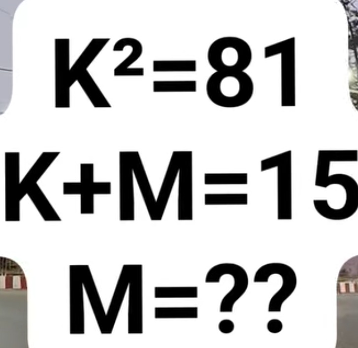 R.H. STUDY ZONE tweet media