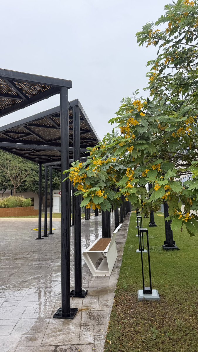 fati 👷🏼‍♀️ tweet media