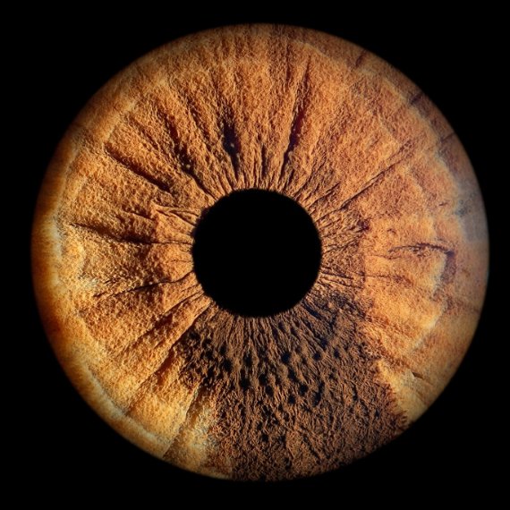 Spacecoin™ 🛰️ tweet media