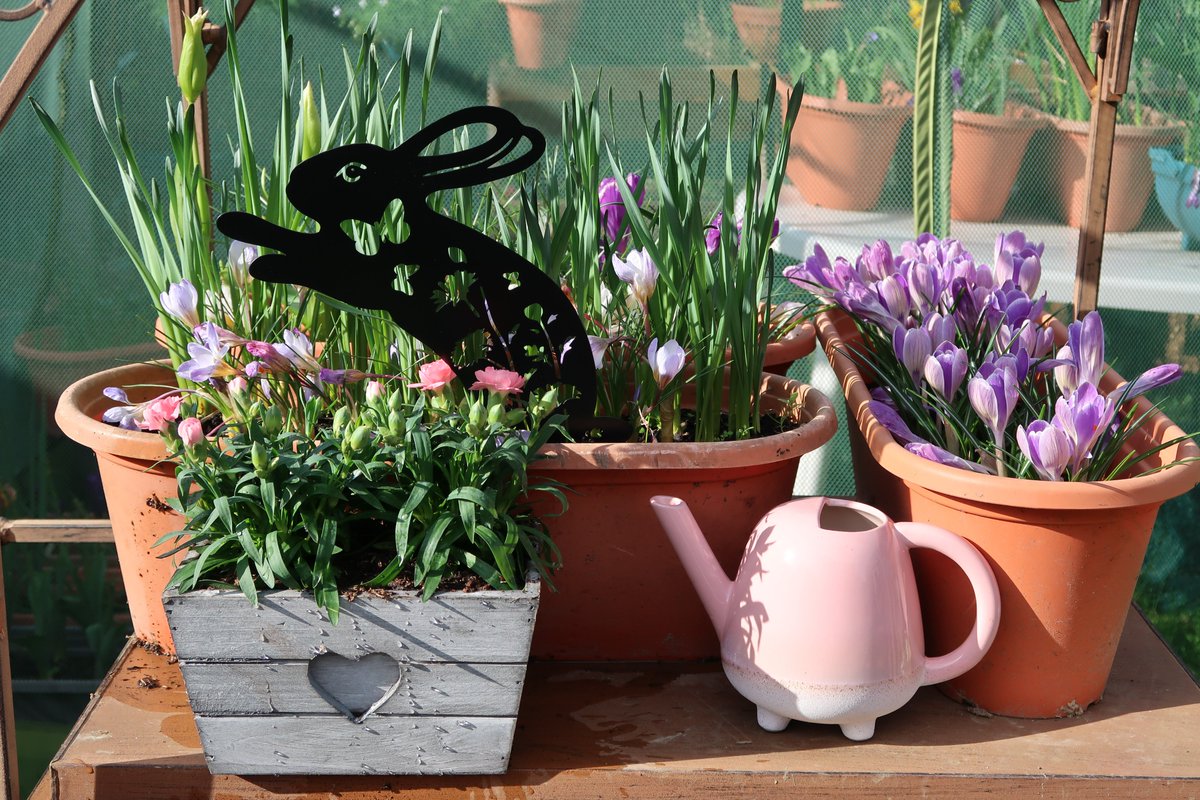 Funky albert snail tweet media