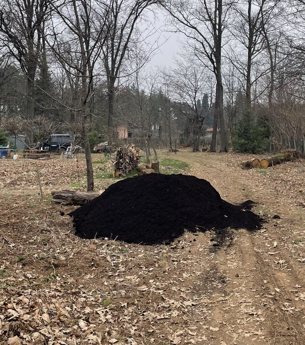 SOLARPUNK NOMADS tweet media